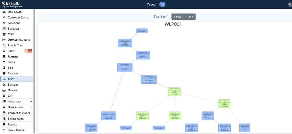 Yeast Genealogy Trees in Beer30 Brewery Software - perfect for understanding the health of your yeast's lineage